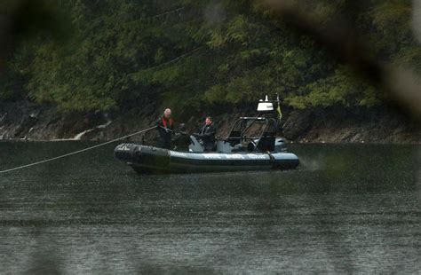 Planning underway for next B.C. orca calf rescue attempt: DFO