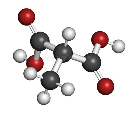 Methylmalonic Acid Molecule. Increased Plasma Levels May Indicate Vitamin B12 Deficiency Stock ...