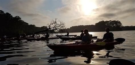 Kayak Nature Tours, Ltd. (Virginia Beach) - 2021 All You Need to Know BEFORE You Go (with Photos ...