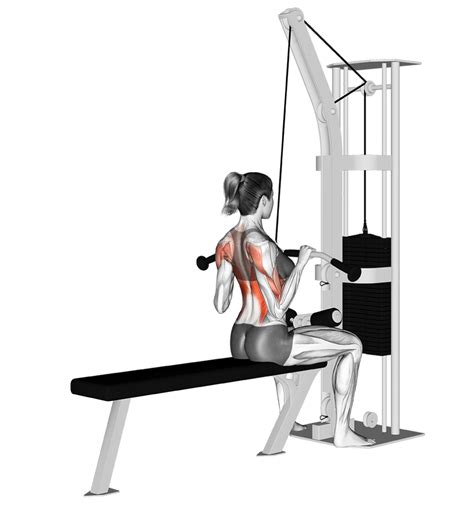 7 Best Lat Pulldown Variations (with Pictures!) - Inspire US