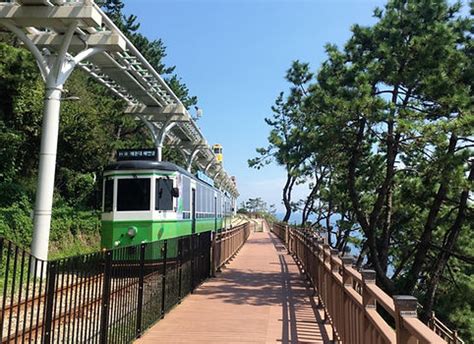 Top 9 Scenic Walking & Hiking Trails (BUSAN) | KoreaToDo