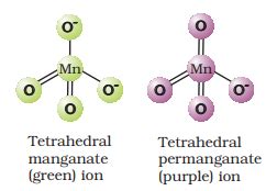 Which color is shown by the permanganate ion?