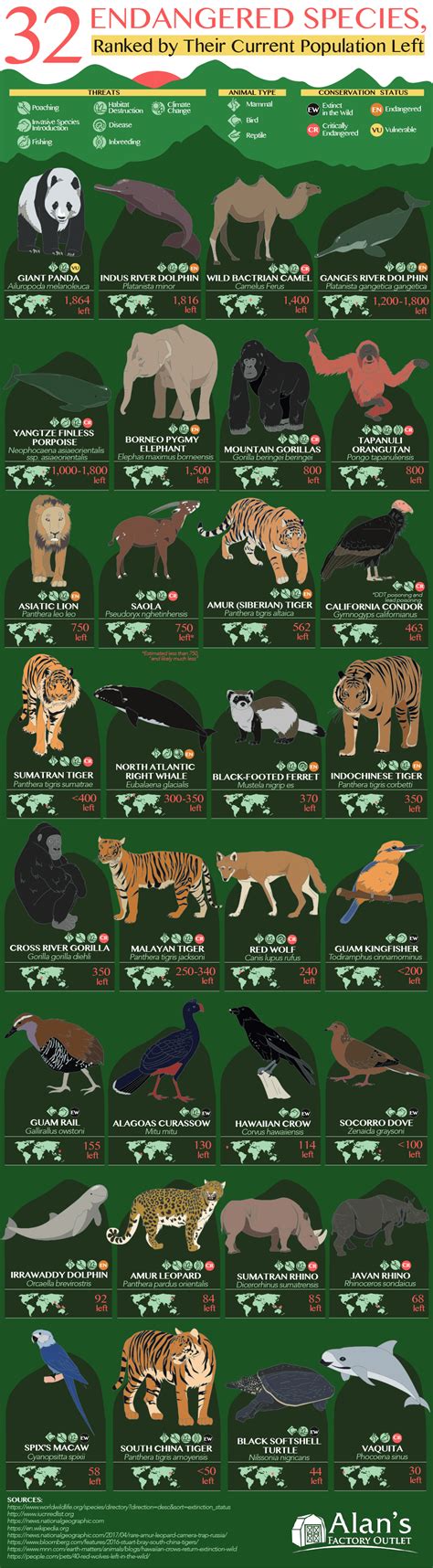 32 Endangered Species, Ranked by Their Current Population Left ...