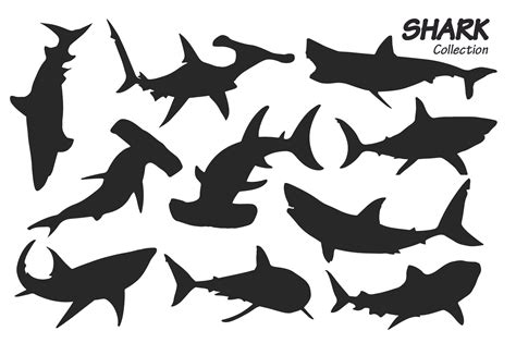 Shark Silhouette Set Graphic by davector · Creative Fabrica