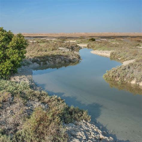 Tidal Creeks – Seamap Australia