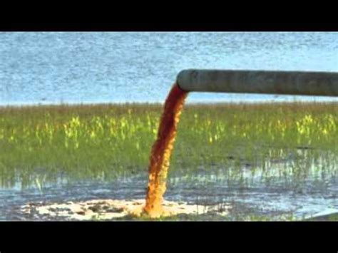 Agricultural Runoff Effects on Marine Life - YouTube