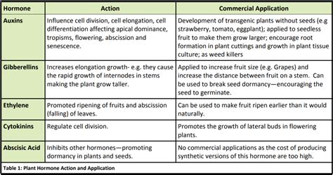 What is Plant Growth Optimisation? - The University of Auckland