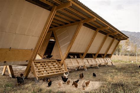 Modern chicken coop designed for maximum chicken comfort - Curbed