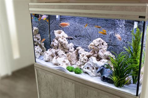 Beautiful Aquarium Ideas