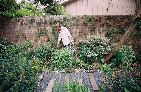 Tour a Rooted Garden Pollinator Garden — Rooted Garden