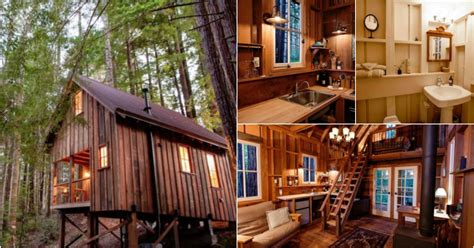 Unique and Fun Treehouse AirBNB in the Redwood Forest is WHOA! - Tiny Houses