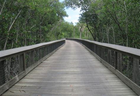 St. Lucie Inlet Preserve State Park | Florida State Parks