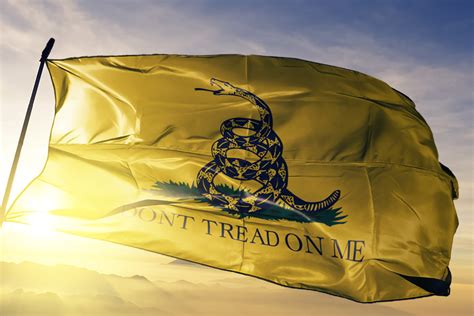 “Don’t Tread on Me”: The Permissibility of the Gadsden Flag in Your Community | Florida Condo ...