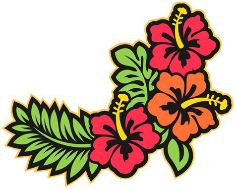 Hawaii Blume 1190297 PNG