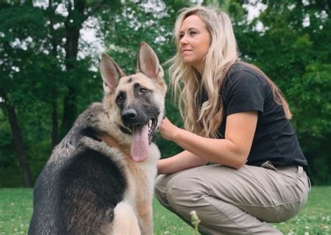 Highland Canine Training Launches New Location In Seattle, WA ...