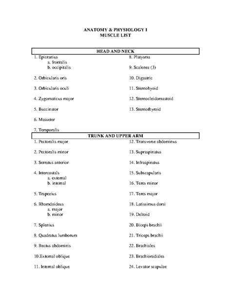 A&P I Muscle List - ANATOMY & PHYSIOLOGY I MUSCLE LIST HEAD AND NECK ...