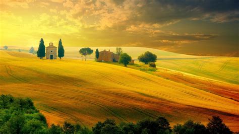 green, fied, summer, nature, sunset, tuscany, landscape, italy ...