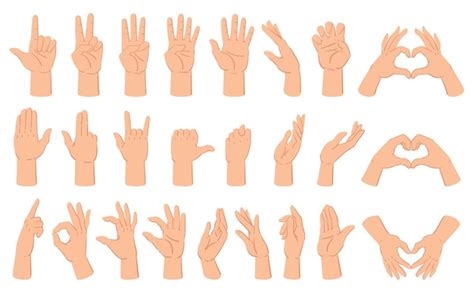 Premium Vector | Cartoon hands gesture hand poses thumb up and counting ...