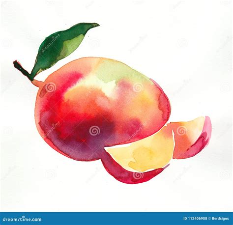 Watercolor mango fruit stock illustration. Illustration of mango ...