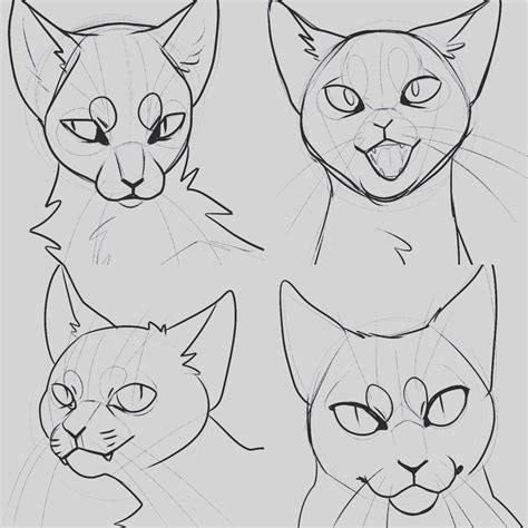cat style study by Uoneko on @DeviantArt | Cat face drawing, Warrior ...
