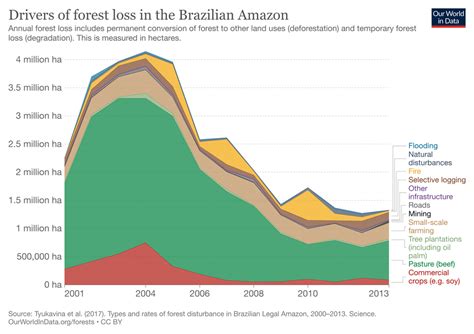 11 Amazon Rainforest Deforestation Facts to Know About | Earth.Org