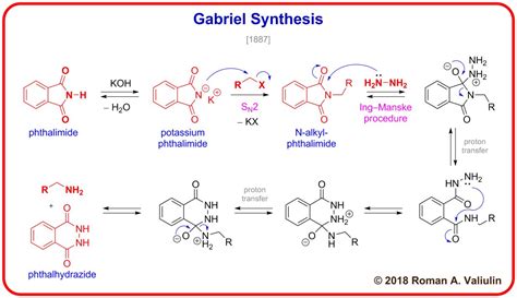 [73] Gabriel Synthesis 1887 | Organic chemistry, Organic chemistry ...