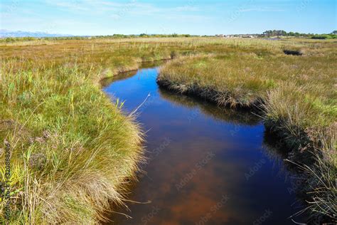 Eco Park of the Nin Lagoon. Nin’ s lagoon. Endemic, endangered species. Wooden trails and ...