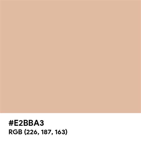 Buff Beige color hex code is #E2BBA3