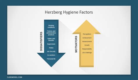 Hygiene Factors