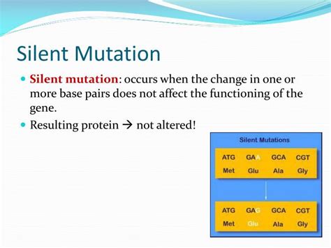 PPT - Mutations PowerPoint Presentation - ID:2015860