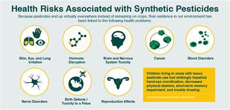 As synthetic pesticides end up virtually everywhere due to environmental contamination, their ...