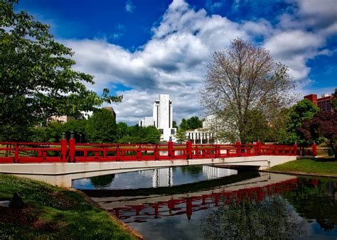 Do You Know Alabama's Official State Symbols? | Stacker