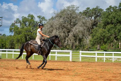 Horseback Riding Summer Camp Near You, Circle F Dude Ranch