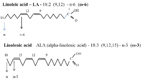 Essential fatty acids. Fig. 2. Polyunsaturated fatty acids synthesis... | Download Scientific ...