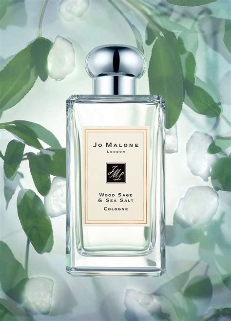 The 10 Best Men’s Colognes Chosen by Women | News | Editorialist