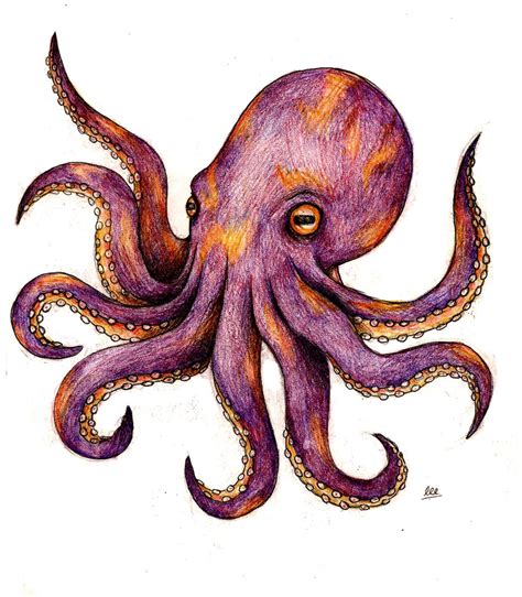 Octopus Tattoo Design by LeePooleArt on DeviantArt