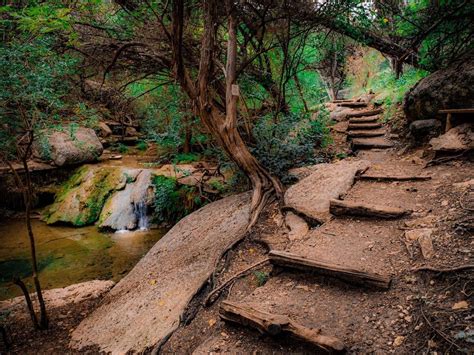 13 Best Hikes in Austin, Texas - Austin Texas Real Estate