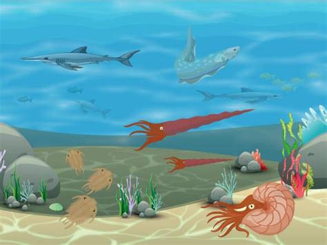 Paleozoic Era ( Read ) | Biology | CK-12 Foundation