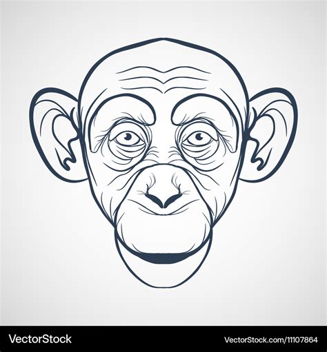 Monkey drawing Royalty Free Vector Image - VectorStock