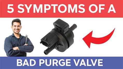 5 Symptoms Of A Bad Purge Valve - YouTube