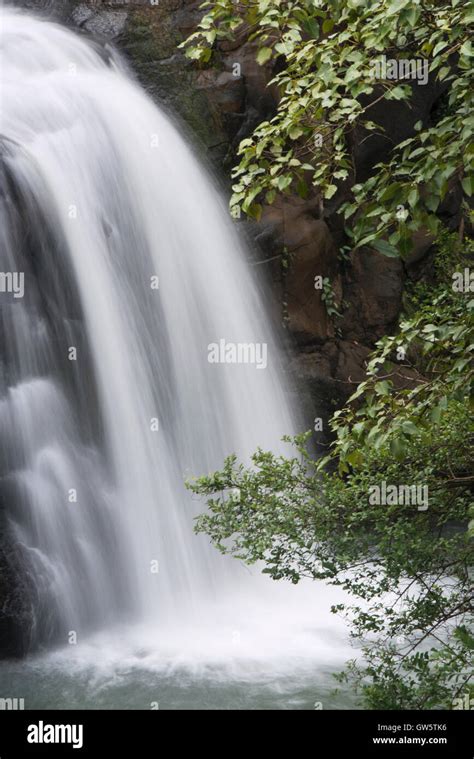 The image of Waterfall in Bhandardara, Maharashtra, western ghats, monsoon, India Stock Photo ...