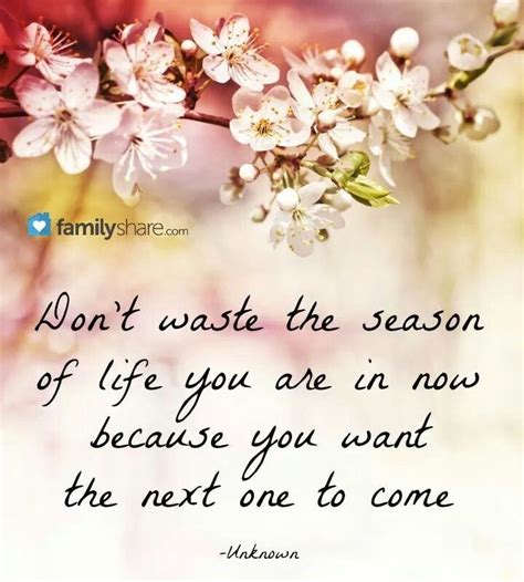 Enjoy every season of life as it comes. You want to live to enjoy them all. | Seasons of life ...