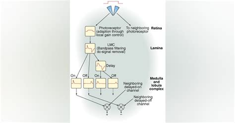 Sensors may offer robotic control | Vision Systems Design