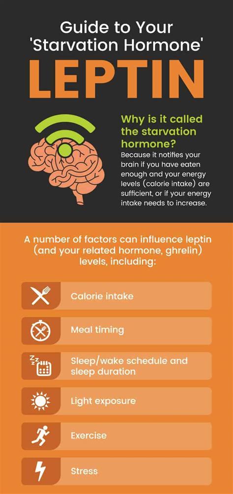 What Is Leptin? How to Increase It and Fight Resistance - Dr. Axe