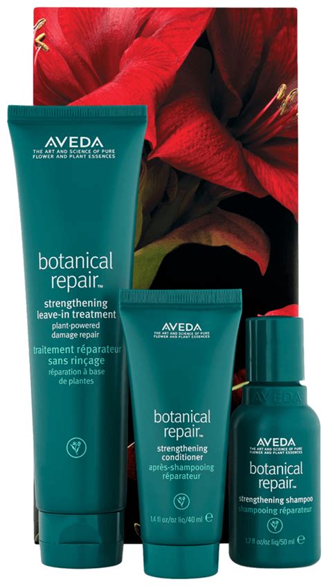 Aveda Botanical Repair Holiday Set 2020 | BellAffair.com