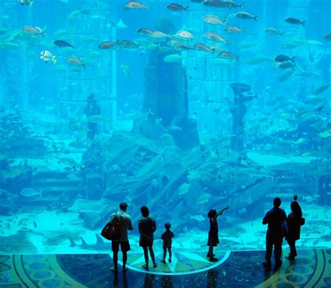 Massive Aquarium at "Atlantis the Palm" hotel in Dubai : woahdude