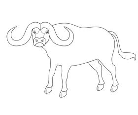 Cartoon buffalo black and white clipart free download