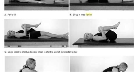 Nishar Basha's Blog: Williams Flexion Exercise