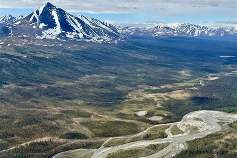 Epic Helicopter Tour with Glacier Landing in Denali with TEMSCO