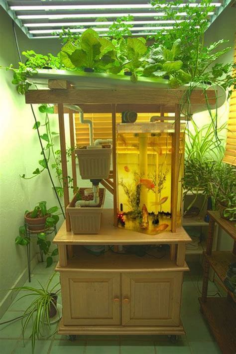 Brilliant Indoor Aquaponics System to Beautify Your Entire House_1 ...